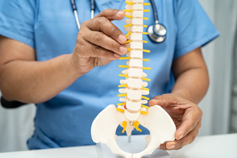 Medical professional examining a spine and pelvis model to explain a spinal cord injury